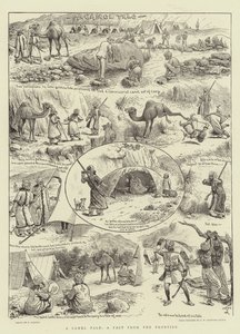 A Camel Tale, A Fact from the Frontier